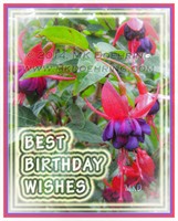 Best Birthday Wishes!!! With Watermark